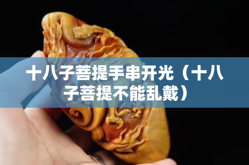 十八子菩提手串開光（十八子菩提不能亂戴）