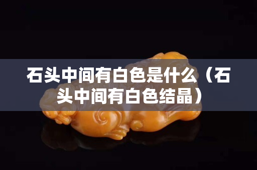 石頭中間有白色是什么（石頭中間有白色結晶）