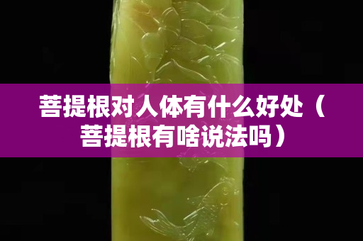 菩提根對(duì)人體有什么好處（菩提根有啥說(shuō)法嗎）