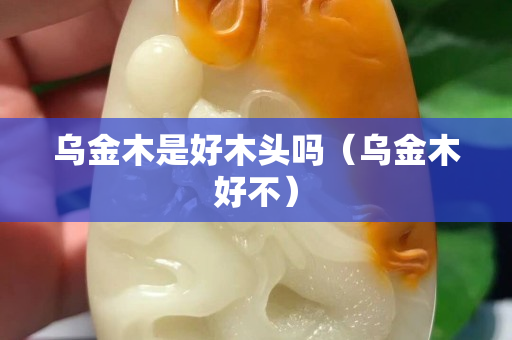 烏金木是好木頭嗎（烏金木好不）