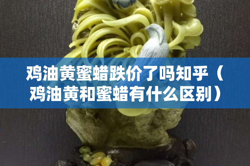 雞油黃蜜蠟跌價了嗎知乎（雞油黃和蜜蠟有什么區別）
