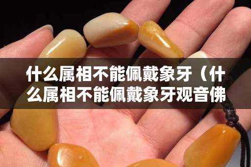 什么屬相不能佩戴象牙（什么屬相不能佩戴象牙觀音佛像）