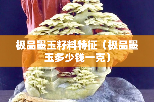 極品墨玉籽料特征（極品墨玉多少錢一克）