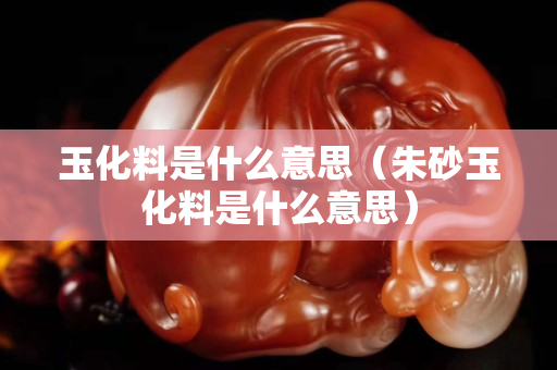 玉化料是什么意思（朱砂玉化料是什么意思）