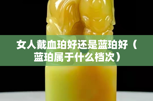 女人戴血珀好還是藍珀好（藍珀屬于什么檔次）