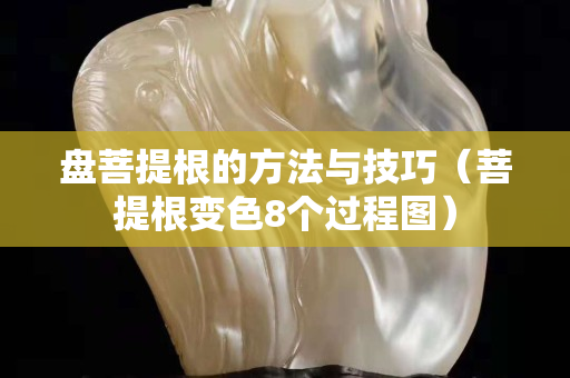 盤菩提根的方法與技巧（菩提根變色8個(gè)過程圖）