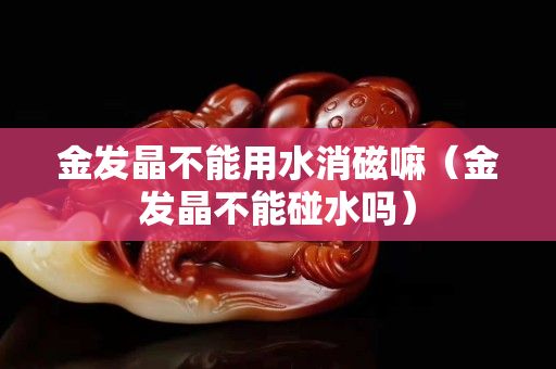 金發晶不能用水消磁嘛（金發晶不能碰水嗎）