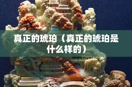 真正的琥珀（真正的琥珀是什么樣的）