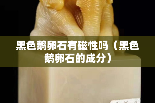 黑色鵝卵石有磁性嗎（黑色鵝卵石的成分）