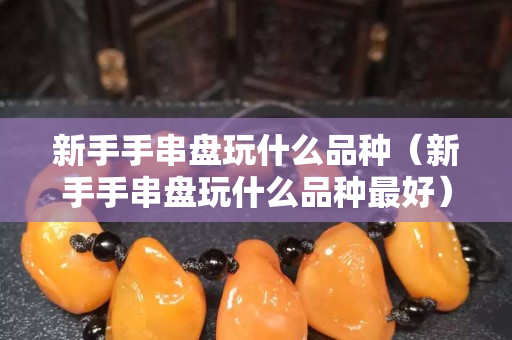 新手手串盤(pán)玩什么品種（新手手串盤(pán)玩什么品種最好）