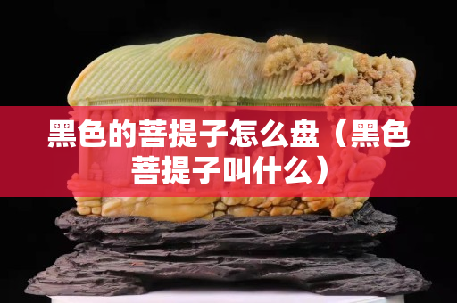 黑色的菩提子怎么盤（黑色菩提子叫什么）