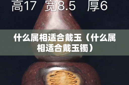 什么屬相適合戴玉（什么屬相適合戴玉鐲）