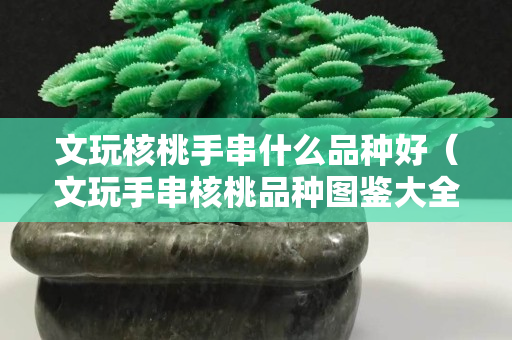 文玩核桃手串什么品種好（文玩手串核桃品種圖鑒大全）
