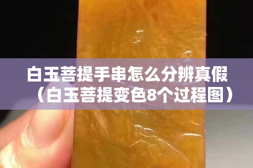 白玉菩提手串怎么分辨真假（白玉菩提變色8個過程圖）