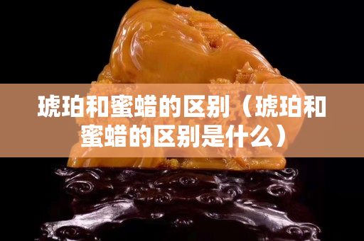 琥珀和蜜蠟的區別（琥珀和蜜蠟的區別是什么）