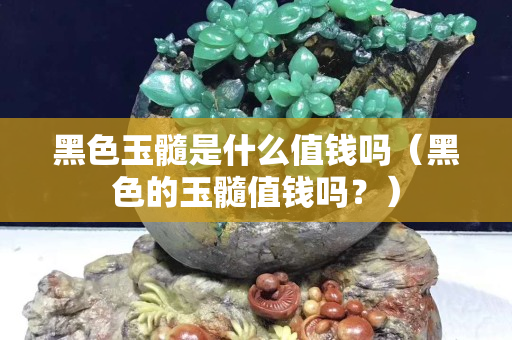 黑色玉髓是什么值錢嗎（黑色的玉髓值錢嗎？）