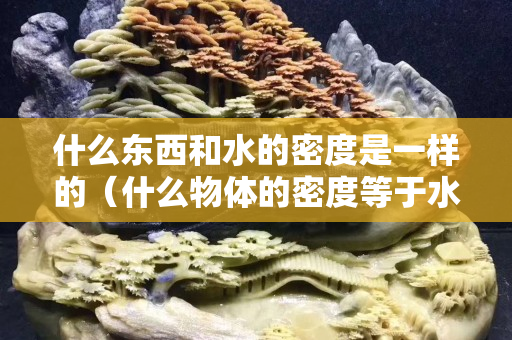 什么東西和水的密度是一樣的（什么物體的密度等于水的密度）
