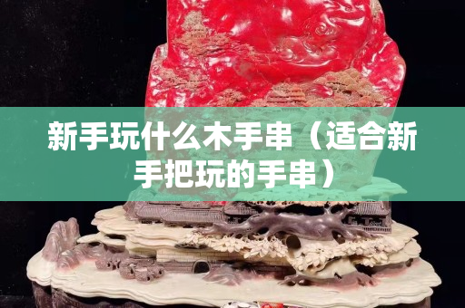 新手玩什么木手串（適合新手把玩的手串）