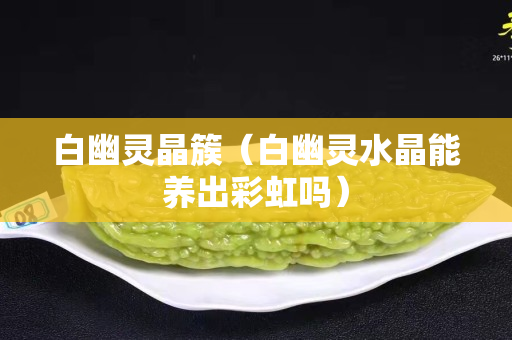 白幽靈晶簇（白幽靈水晶能養(yǎng)出彩虹嗎）