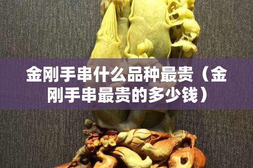 金剛手串什么品種最貴（金剛手串最貴的多少錢）