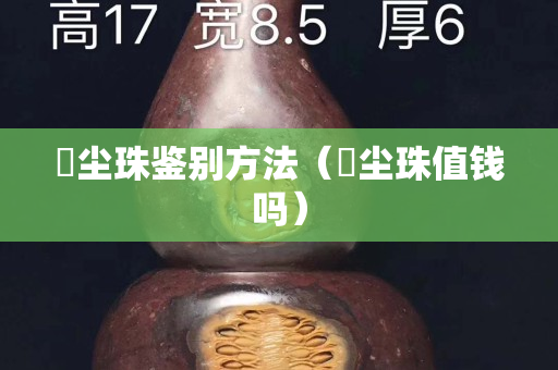雮塵珠鑒別方法（雮塵珠值錢嗎）