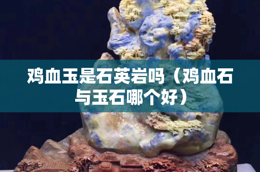 雞血玉是石英巖嗎（雞血石與玉石哪個好）