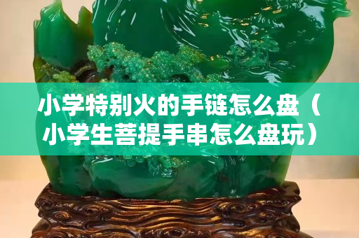 小學特別火的手鏈怎么盤（小學生菩提手串怎么盤玩）