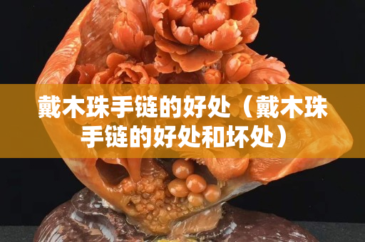 戴木珠手鏈的好處（戴木珠手鏈的好處和壞處）