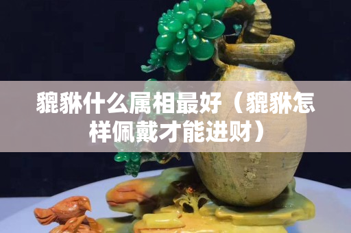 貔貅什么屬相最好（貔貅怎樣佩戴才能進財）