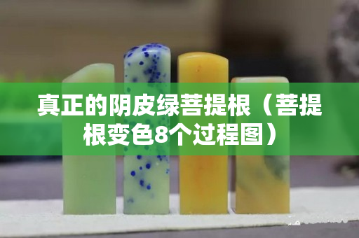 真正的陰皮綠菩提根（菩提根變色8個過程圖）