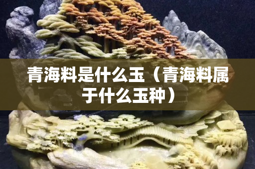 青海料是什么玉（青海料屬于什么玉種）