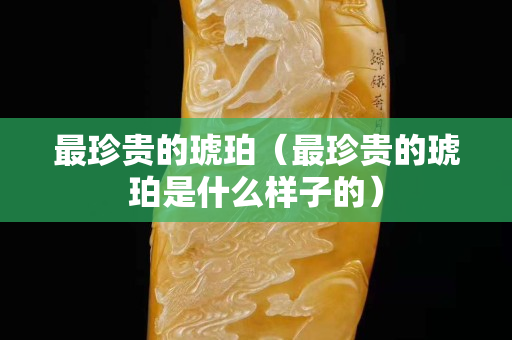最珍貴的琥珀（最珍貴的琥珀是什么樣子的）