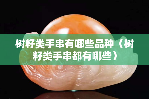 樹籽類手串有哪些品種（樹籽類手串都有哪些）