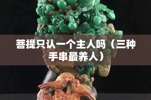 菩提只認(rèn)一個(gè)主人嗎（三種手串最養(yǎng)人）