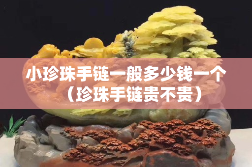 小珍珠手鏈一般多少錢一個(gè)（珍珠手鏈貴不貴）