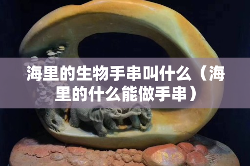 海里的生物手串叫什么（海里的什么能做手串）