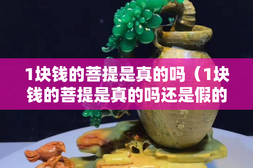 1塊錢的菩提是真的嗎（1塊錢的菩提是真的嗎還是假的）