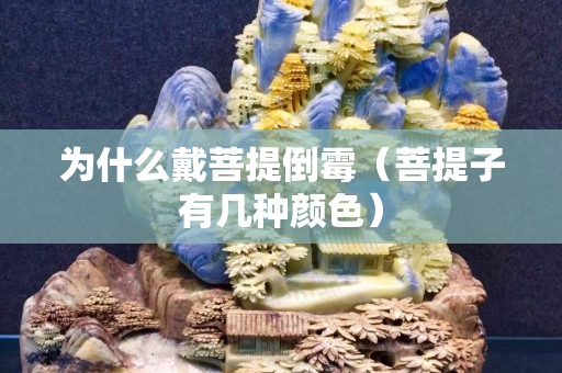 為什么戴菩提倒霉（菩提子有幾種顏色）