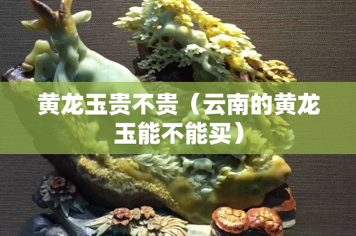 黃龍玉貴不貴（云南的黃龍玉能不能買）