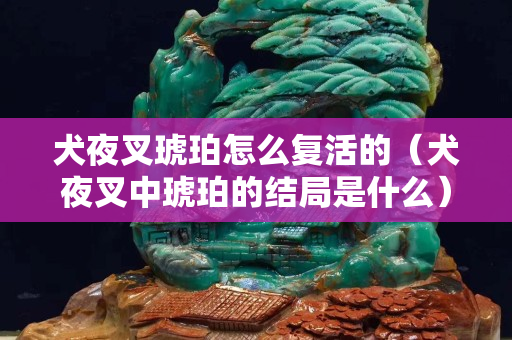 犬夜叉琥珀怎么復(fù)活的（犬夜叉中琥珀的結(jié)局是什么）