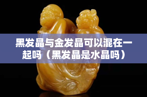 黑發晶與金發晶可以混在一起嗎（黑發晶是水晶嗎）