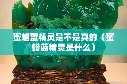 蜜蠟藍精靈是不是真的（蜜蠟藍精靈是什么）