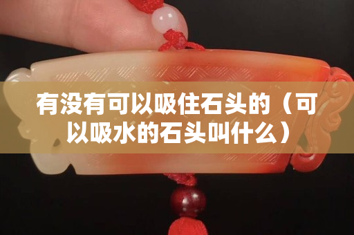 有沒(méi)有可以吸住石頭的（可以吸水的石頭叫什么）