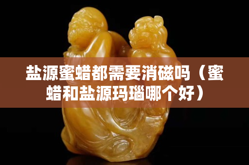 鹽源蜜蠟都需要消磁嗎（蜜蠟和鹽源瑪瑙哪個好）