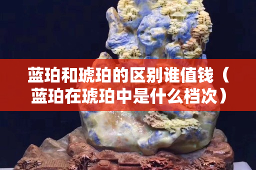 藍(lán)珀和琥珀的區(qū)別誰值錢（藍(lán)珀在琥珀中是什么檔次）