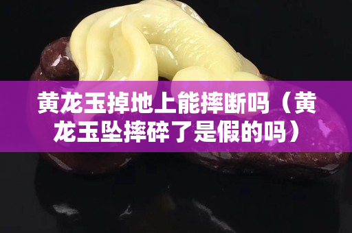 黃龍玉掉地上能摔斷嗎（黃龍玉墜摔碎了是假的嗎）