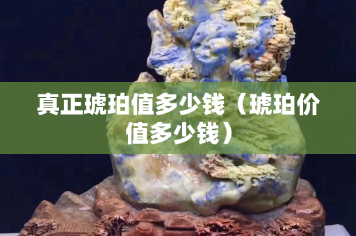 真正琥珀值多少錢（琥珀價值多少錢）