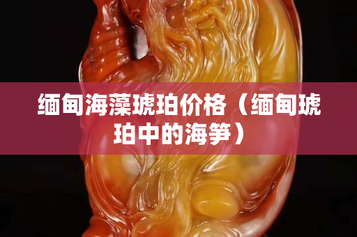 緬甸海藻琥珀價(jià)格（緬甸琥珀中的海筍）