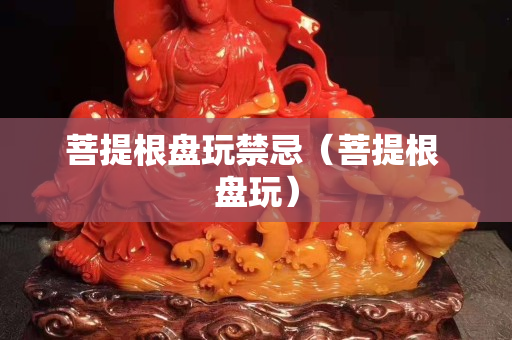 菩提根盤玩禁忌（菩提根 盤玩）