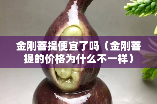 金剛菩提便宜了嗎（金剛菩提的價格為什么不一樣）